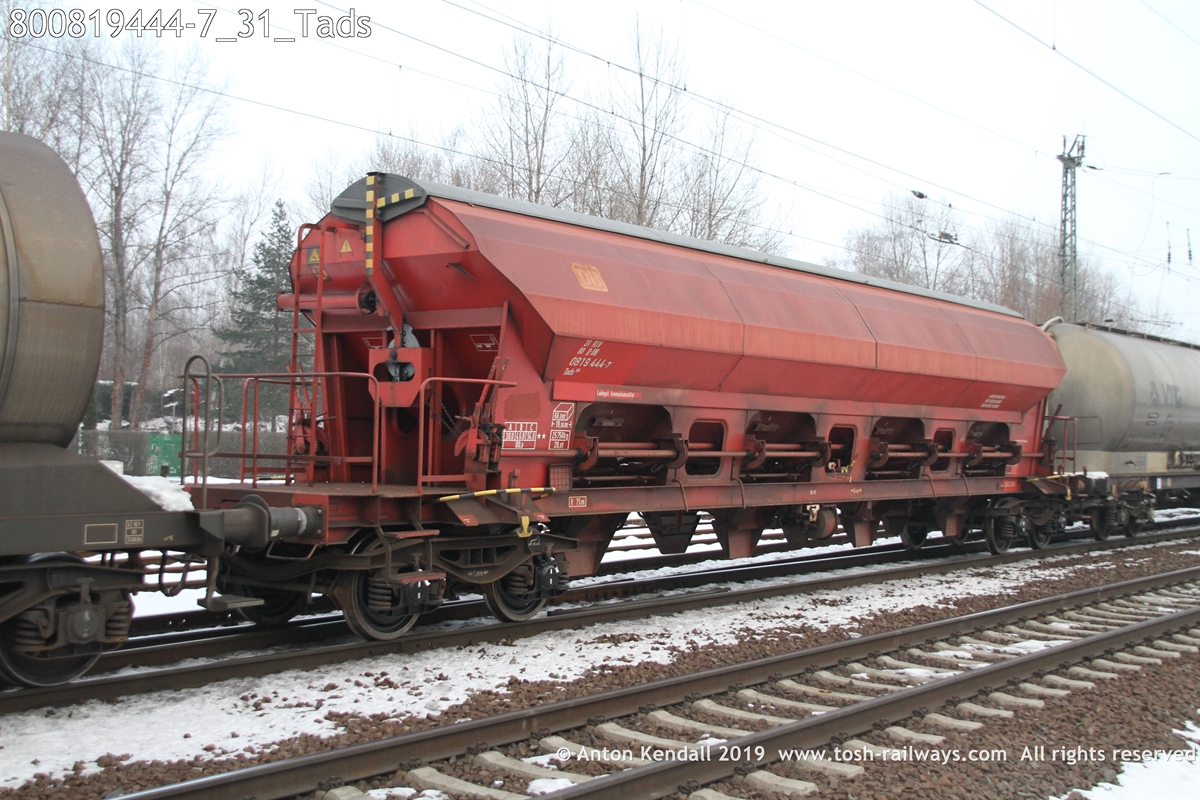 800819444-7_31_Tads.JPG